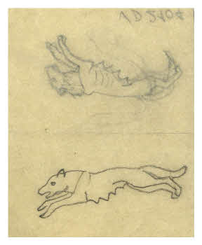 Visualizza l'immagine "FD D 2104 r."